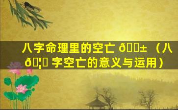 八字命理里的空亡 🐱 （八 🦈 字空亡的意义与运用）
